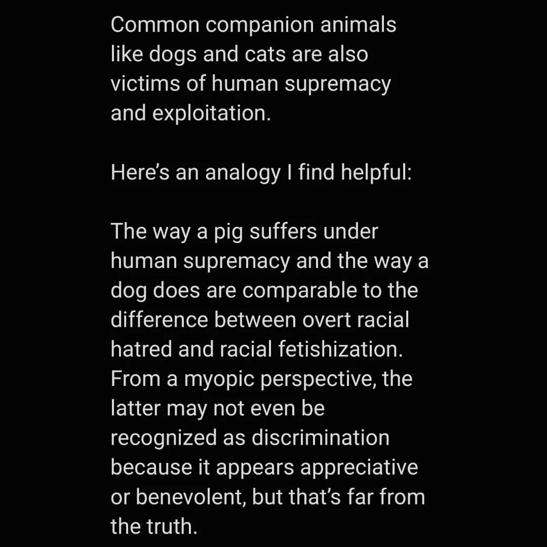 Dogs and cats are also victims of human supremacy